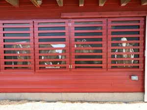 Belle Grove Plantation’s Beverley B. Shoemaker Welcome Center